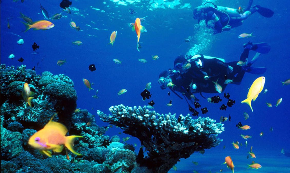 50 Best Scuba Diving Places in The World
