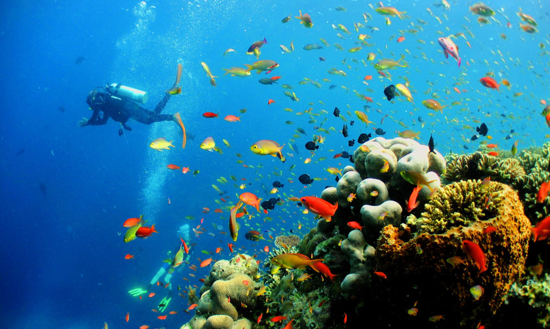 50 Best Scuba Diving Places in The World