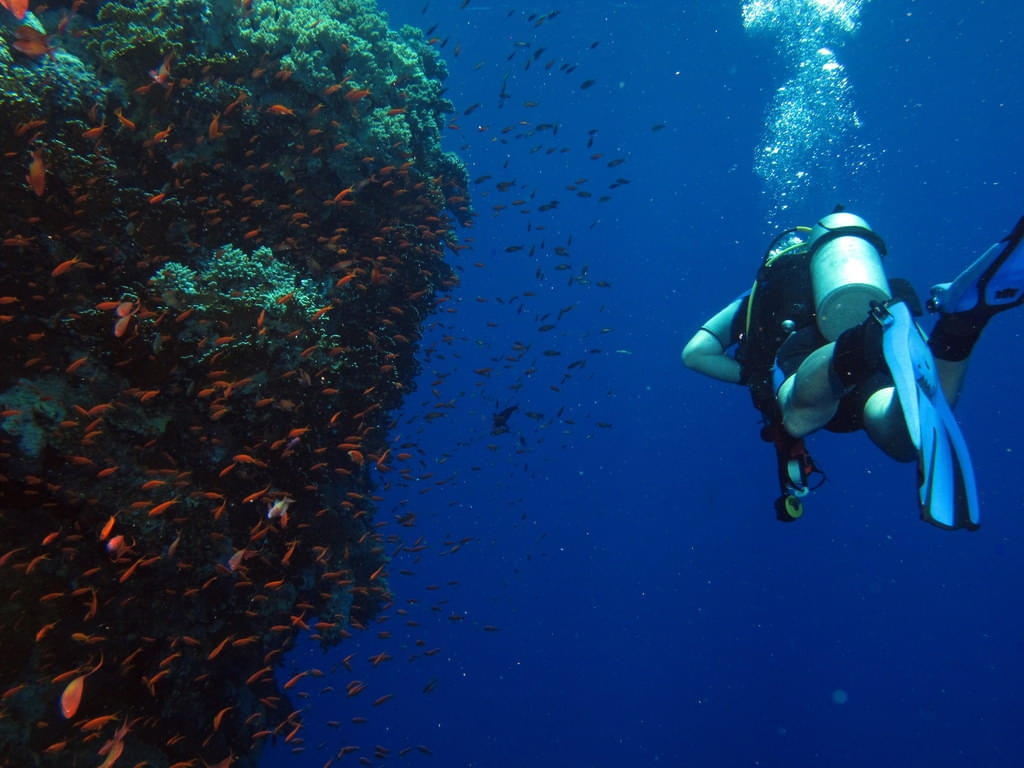 50 Best Scuba Diving Places In The World