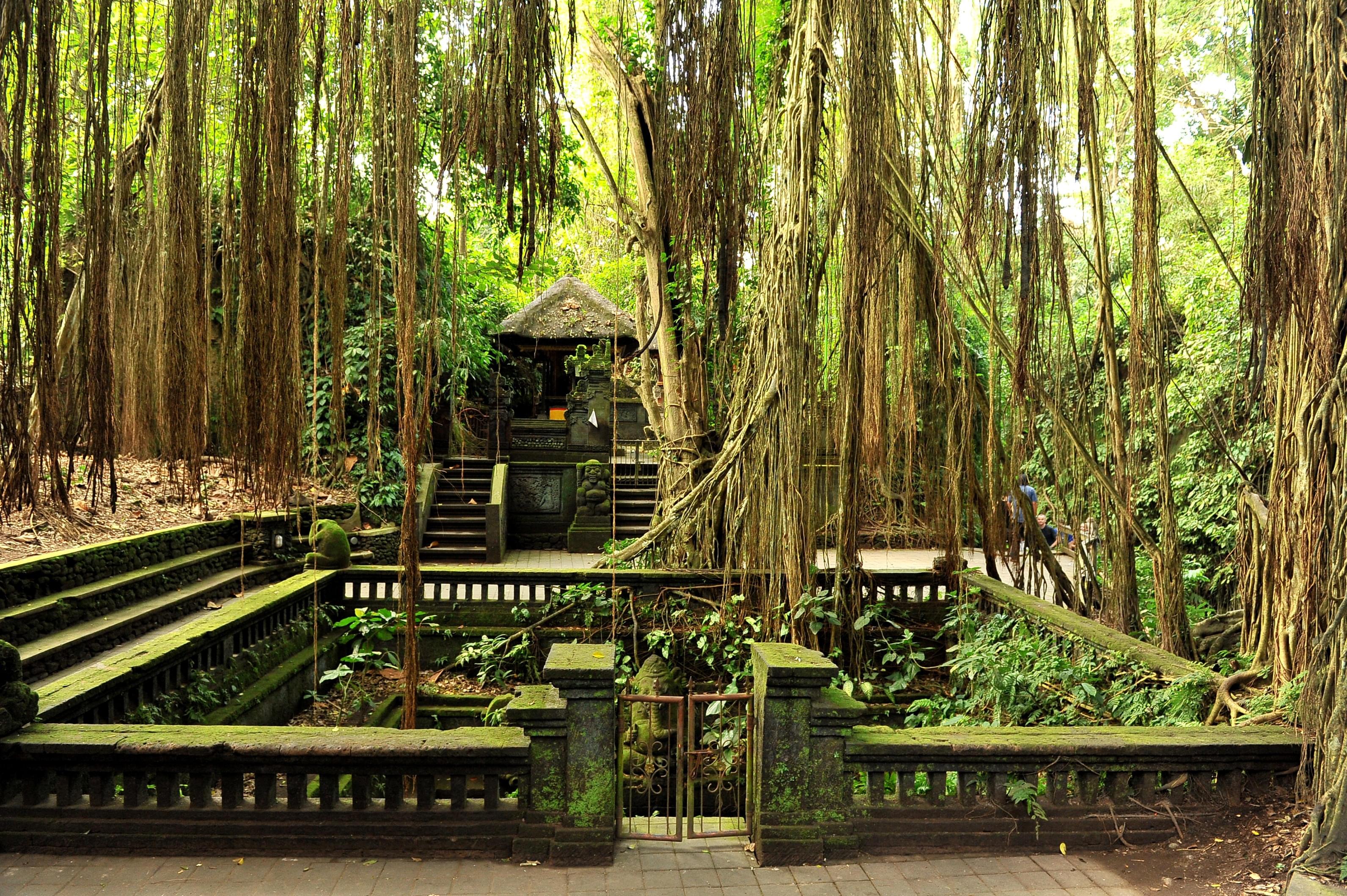 Ubud Monkey Forest