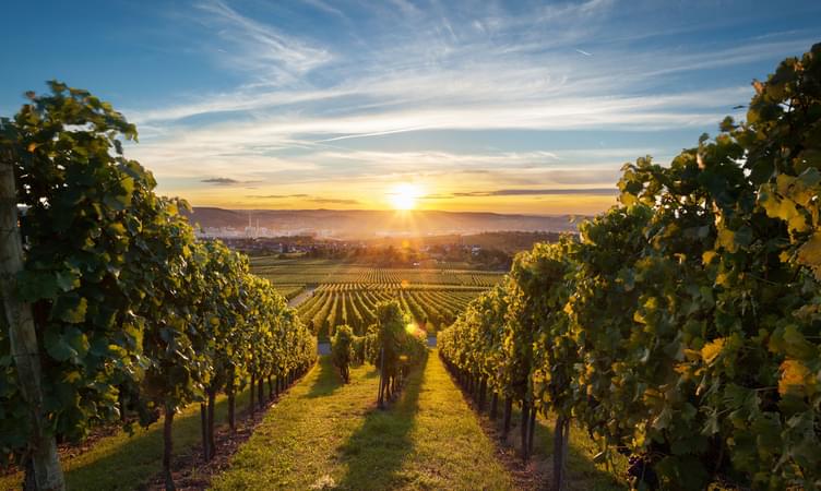 1488862812 wine tours feature image