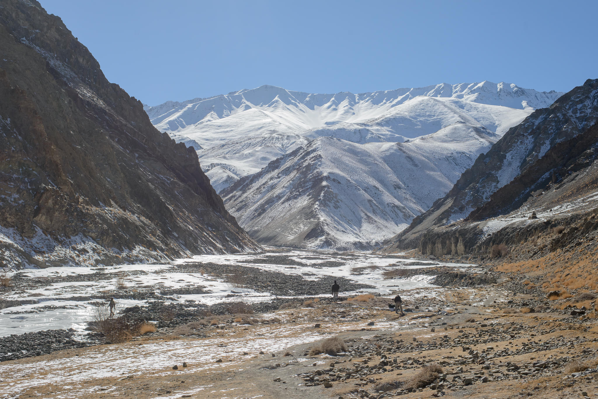 Snow Leopard Trek ( Winter Expedition)
