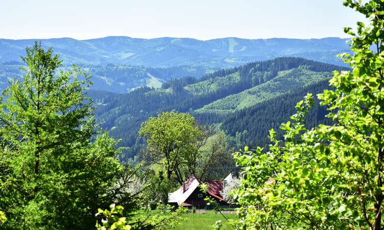 1549712405 shutterstock 1094614757