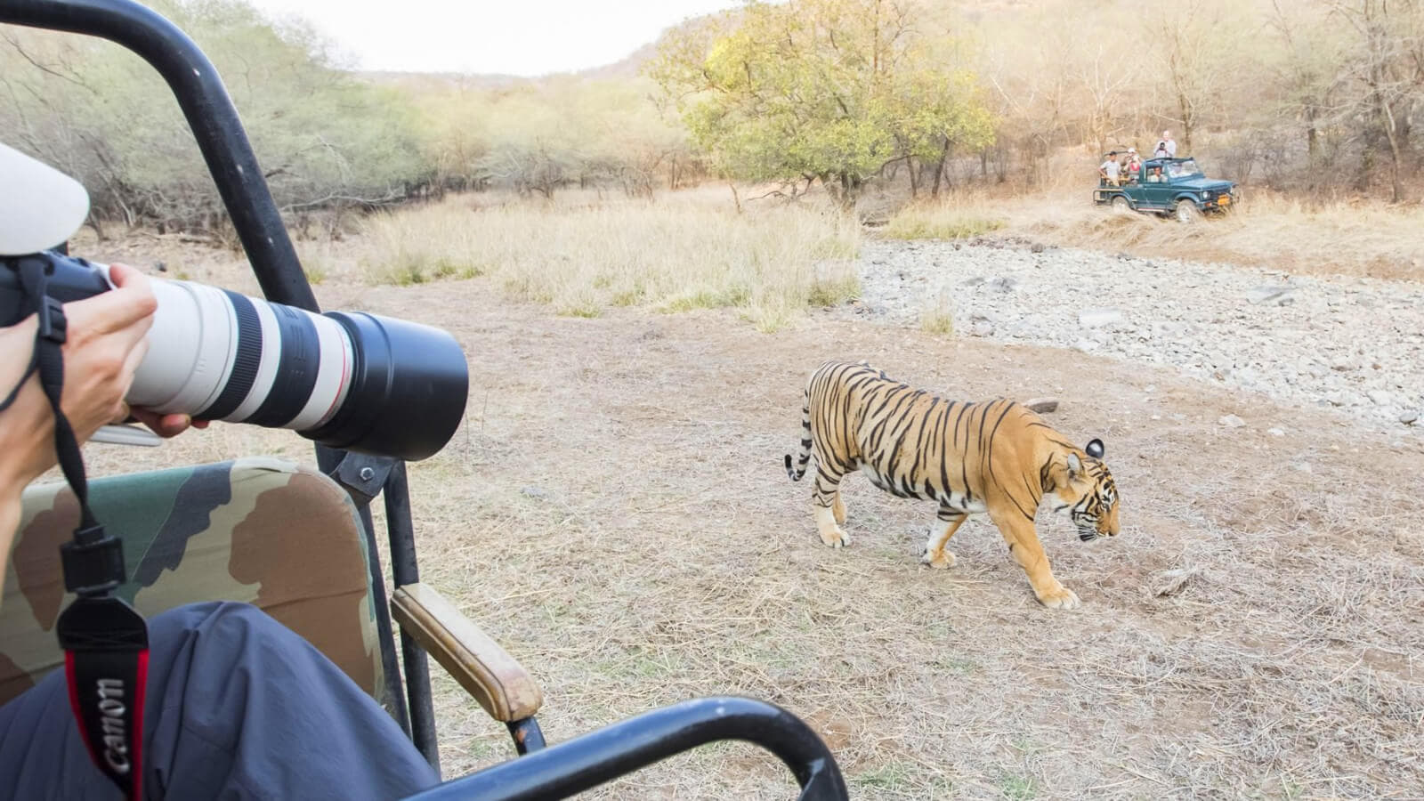 18 Best Wildlife Sanctuaries and National Parks in Chhattisgarh