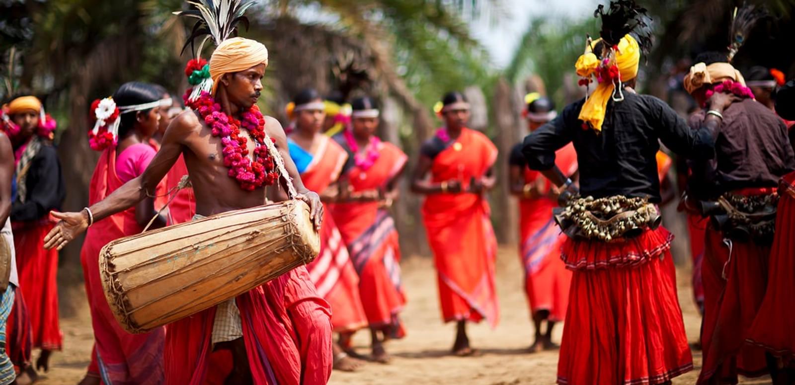 Tribal Tour Of Chhattisgarh