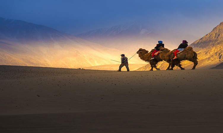 Suggestion for Camel Safari in Ladakh