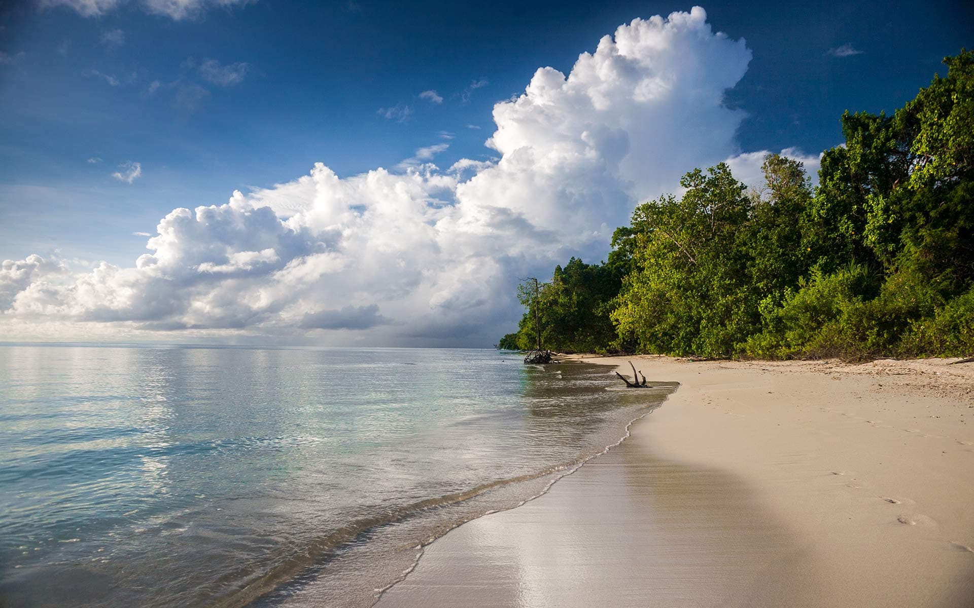20 Beaches in Andaman and Nicobar Islands (Travellers Favorites)