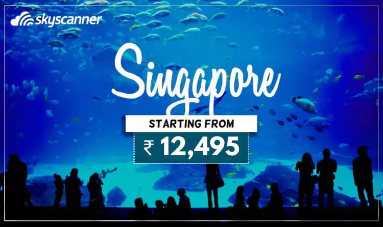 Singapore - One Destination for all-kind 