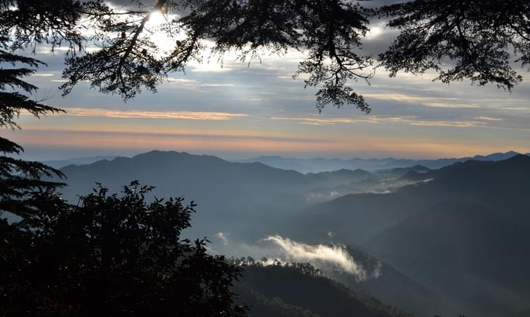 Chail (356 Kms from Delhi)