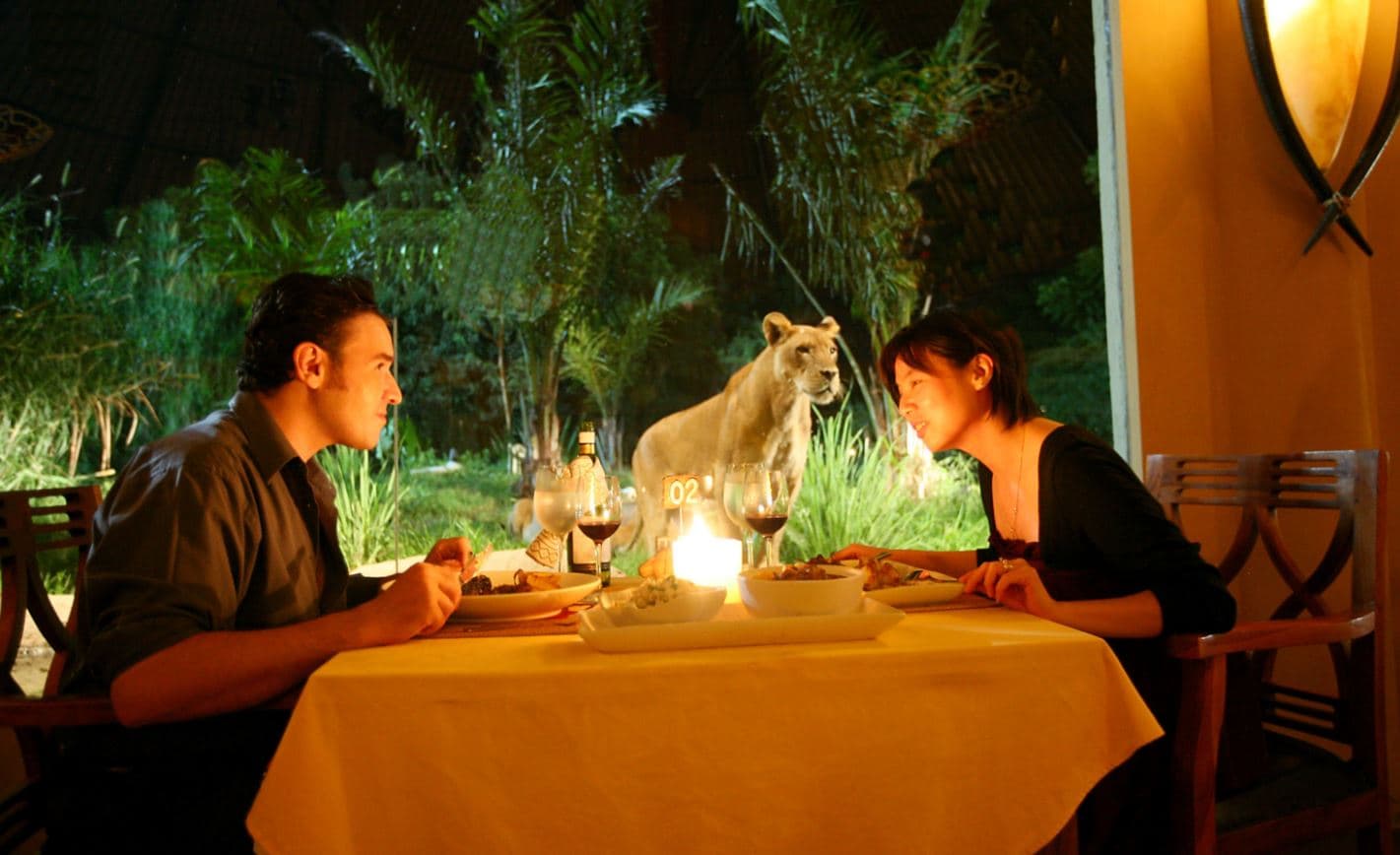 Dine With Lion At Tsavo Lion Restaurant