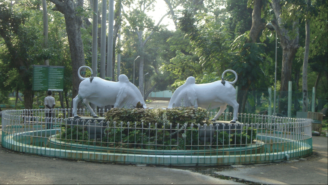 Mahatma Gandhi Marine National Park
