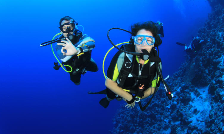 Scuba Diving (Explore Marine Life)