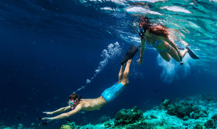 Snorkeling In Maldives 