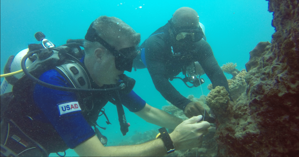 Tiny Island Marine Conservation Centre