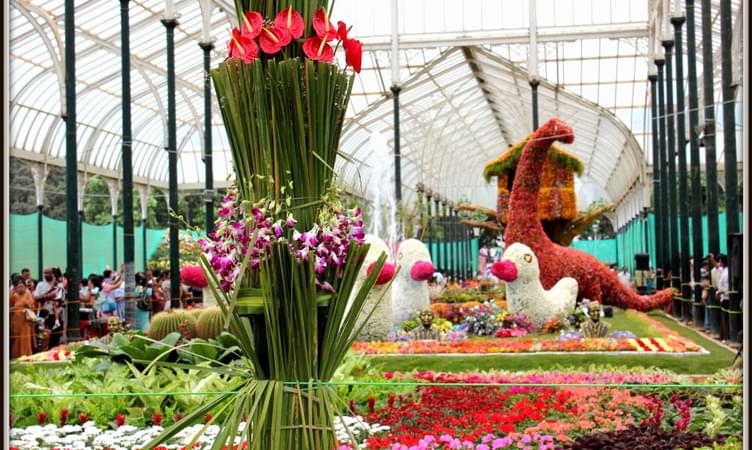 Let Your Love Blossom at Lalbagh Botanical Garden