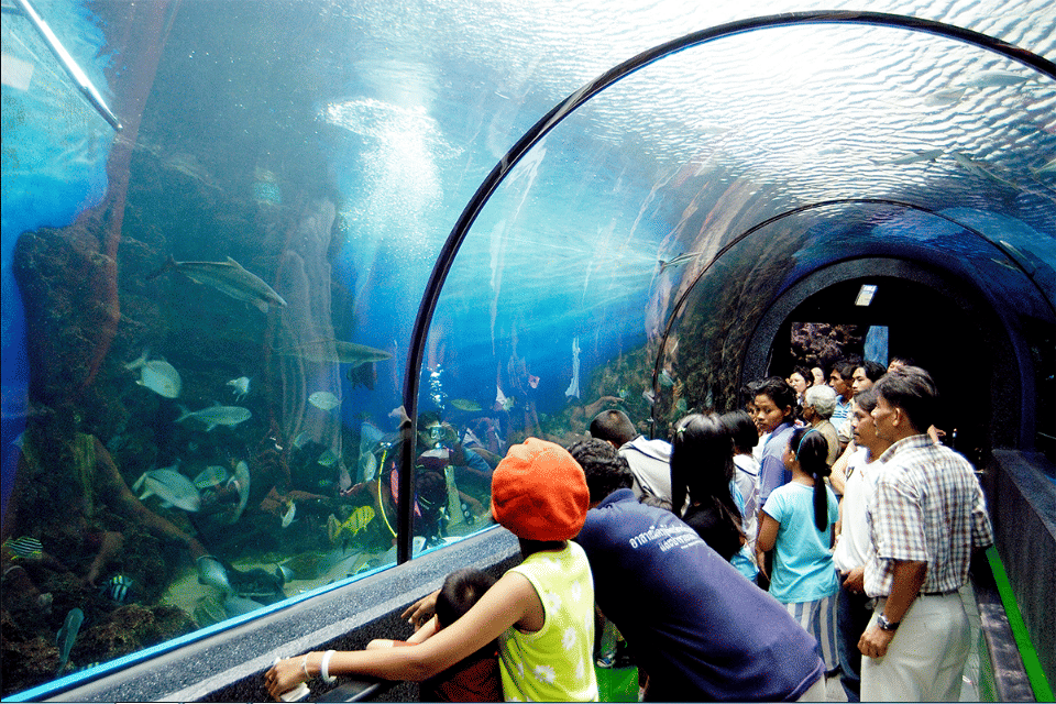 Phuket Aquarium