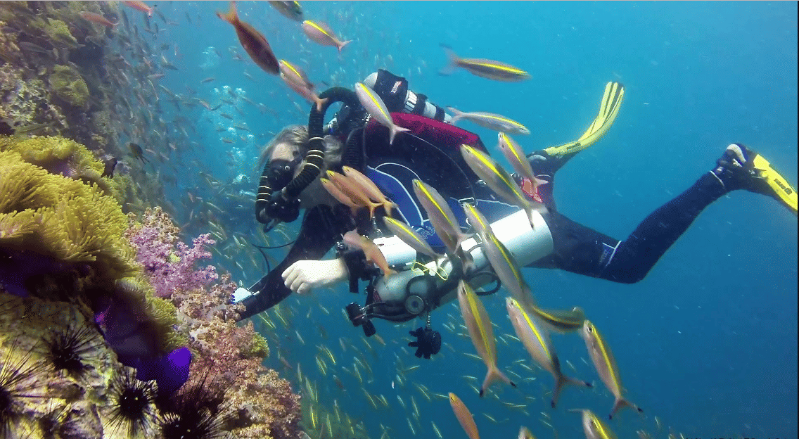 Go For A Scuba Diving Tour