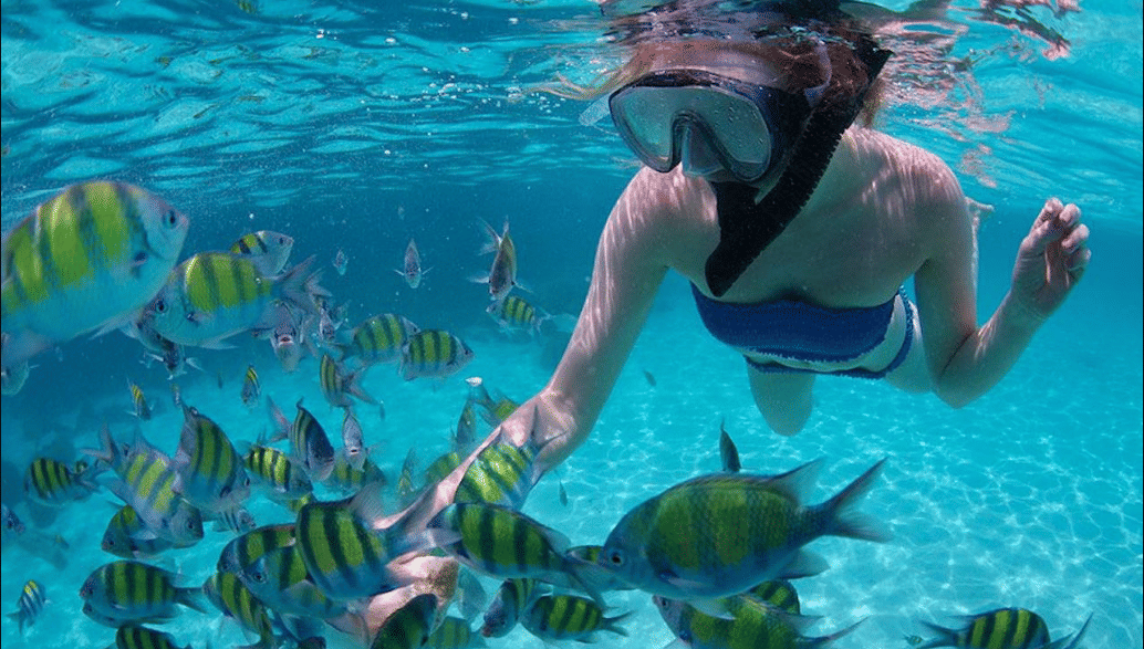 Experience Snorkeling