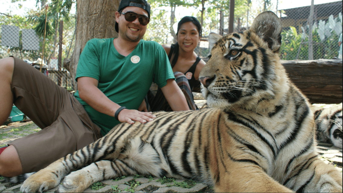 Get A Picture With Tigers