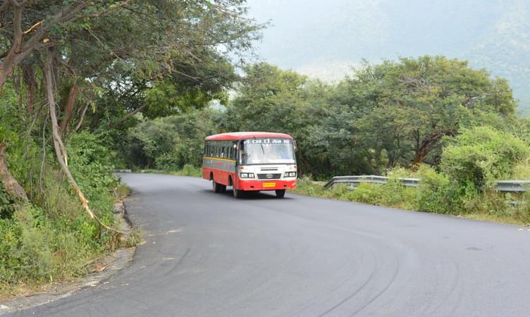 Bangalore to Ooty by Bus