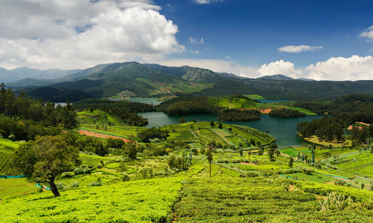 Travel Tips For Ooty Trip From Bangalore