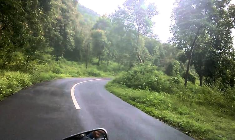 Drive to Wayanad from Bangalore