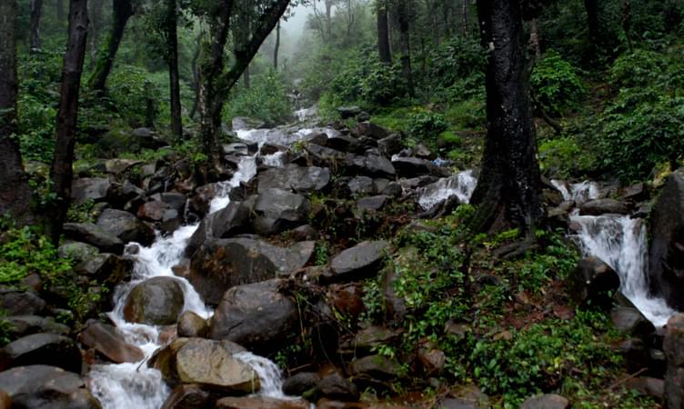 Best time to Visit Chikmagalur from Bangalore