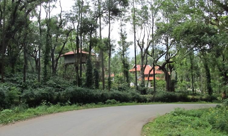 Travel Tips for Chikmagalur Trip from Bangalore 