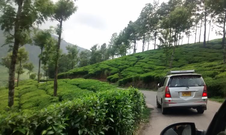 Drive to Munnar from Bangalore 