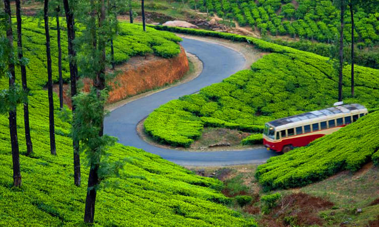 Travel Tips for Munnar Trip from Bangalore