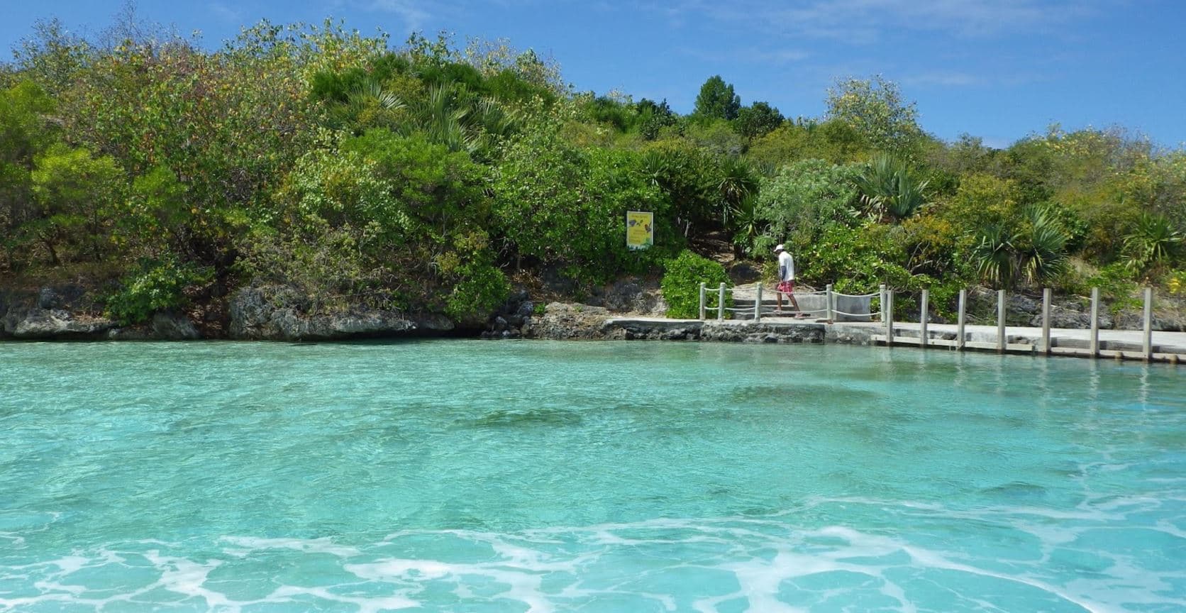 Watch Wildlife & Corals at Ile aux Aigrettes
