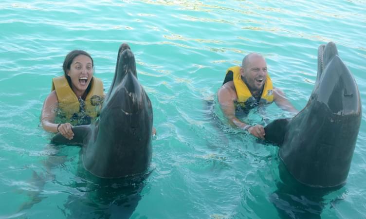 Swimming With The Dolphins