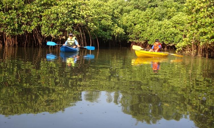 Backwater Kayaking