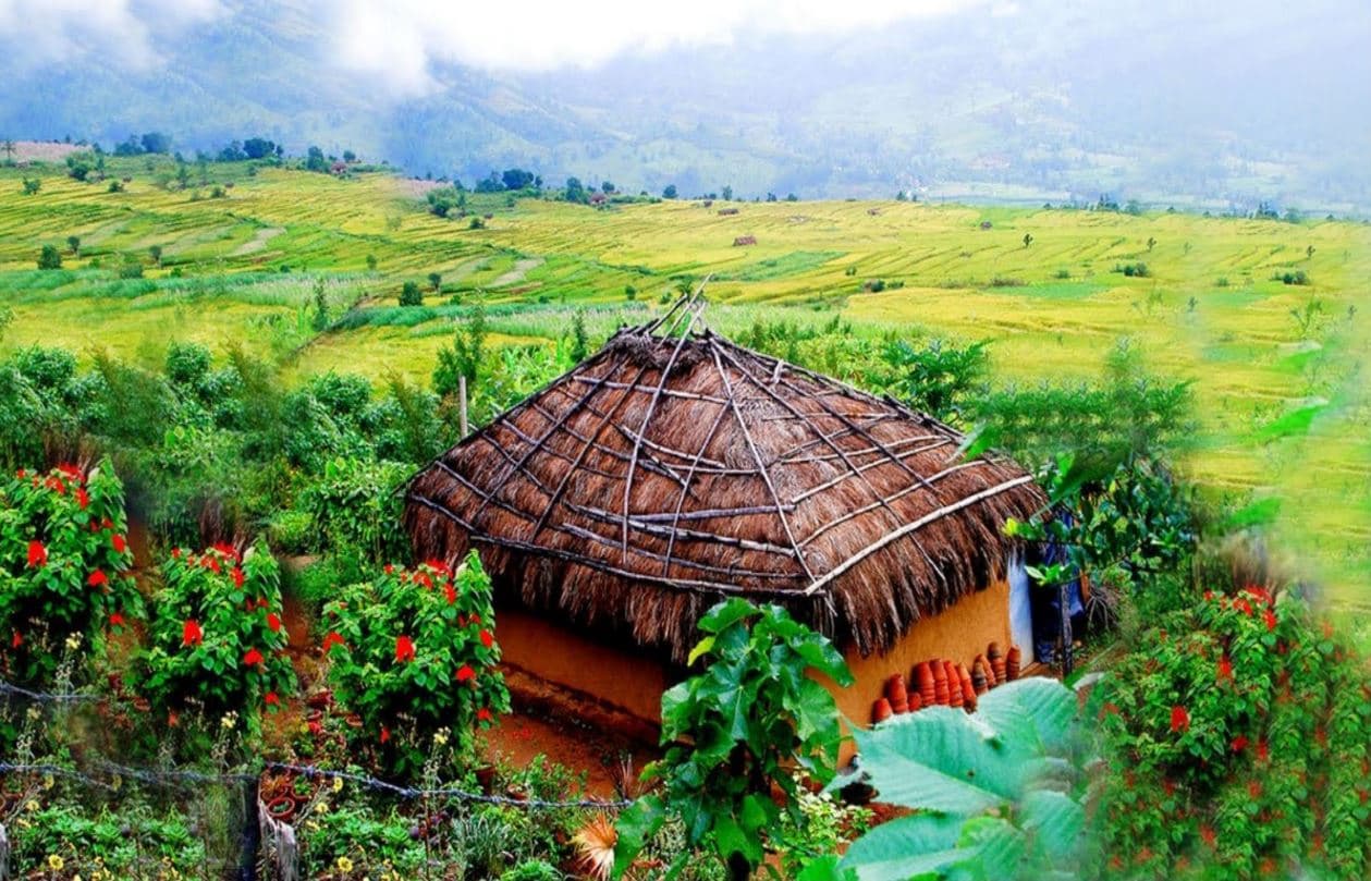 Munnar (The Real Western Ghats)