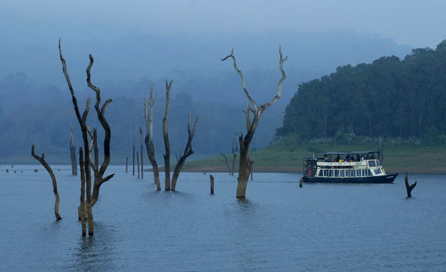 Thekkady (Scenic Beauty & Rich Biodiversity)