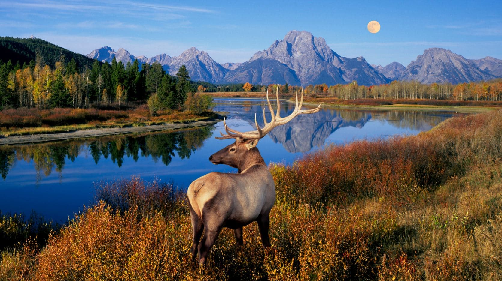 Visit The World of Forests & Animals - Eravikulam National Park