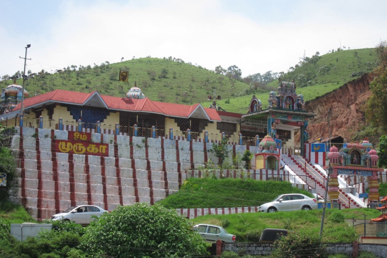 Taste The Authentic Keralite Cuisine At Saravana Bhavan