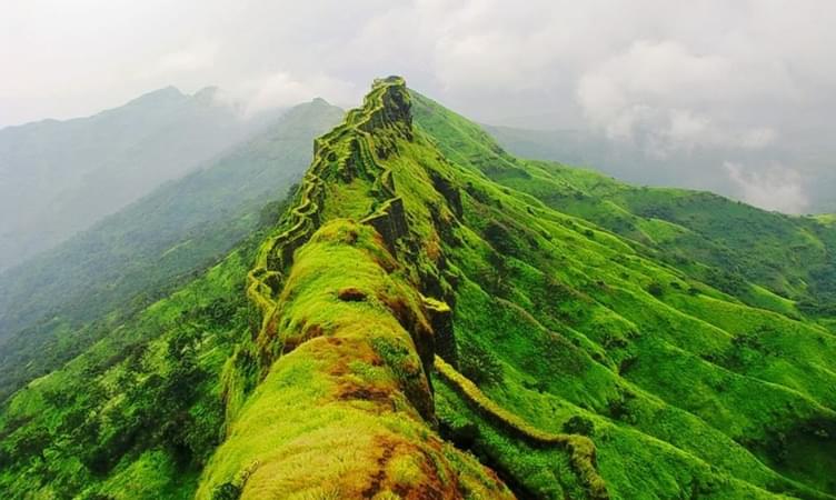 Rajgad Fort (60 km from Pune)