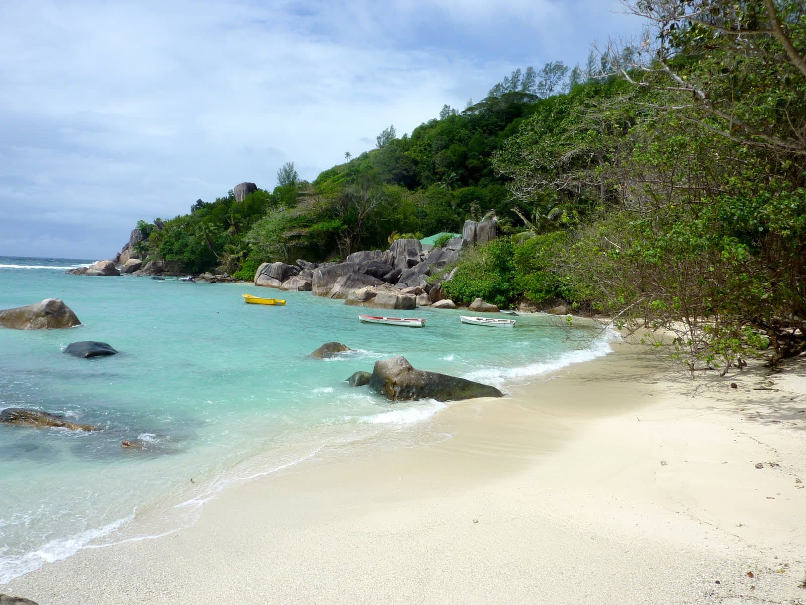 Anse Intendance, Mahé