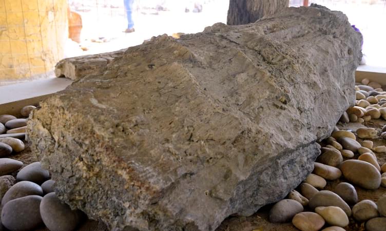 Explore the Prehistoric Era at Akal Wood Fossil Park