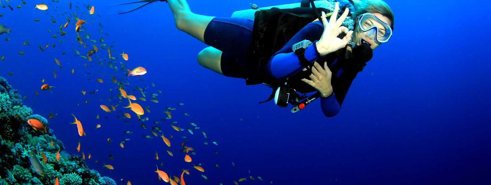 Other Information About Havelock Island Scuba Diving