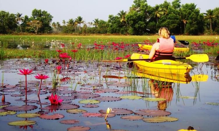 Kayaking in Sal Backwaters