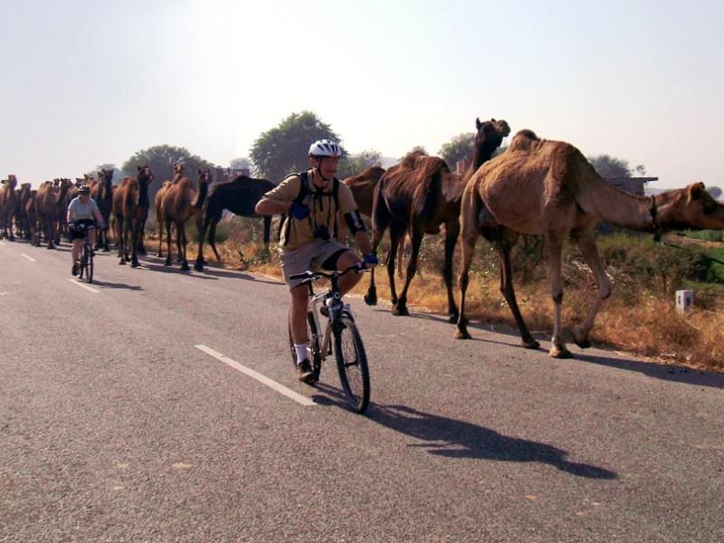 Cycling Tour in Pushkar