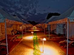 Luxury Camping Experience in Pushkar