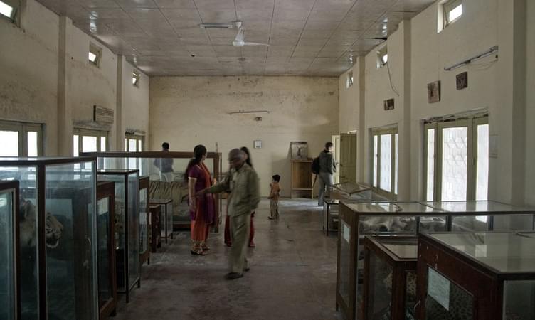 Dhangari Museum (20 km from Jim Corbett)