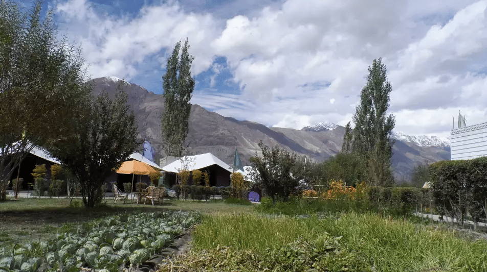 Tiger Camp Nubra