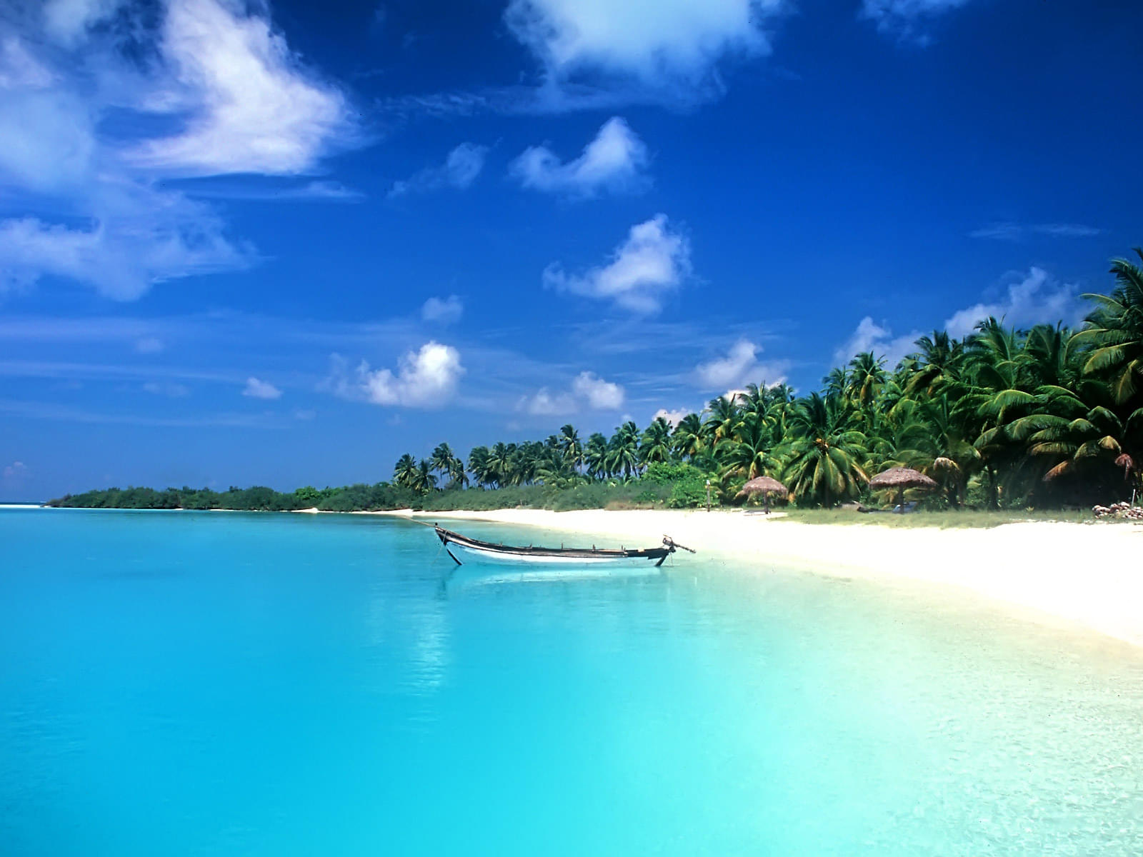 Go Island Hopping in Andaman with these Ultimate Tours & Activities