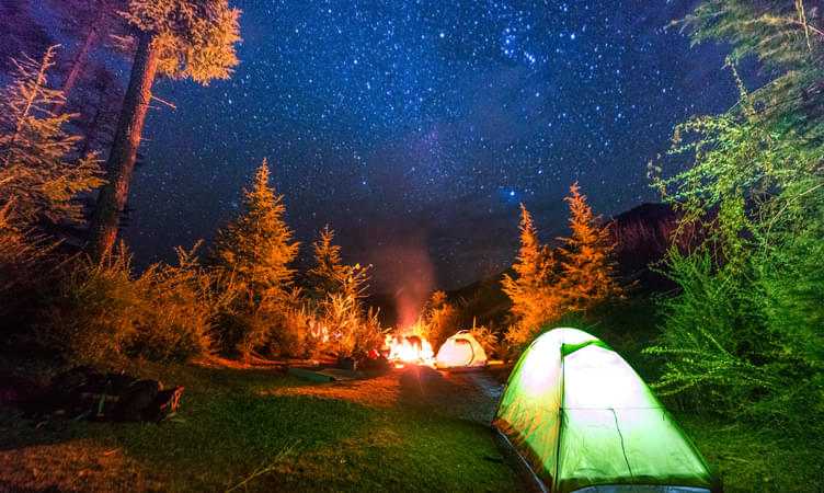 Camping in Manali or Shimla 
