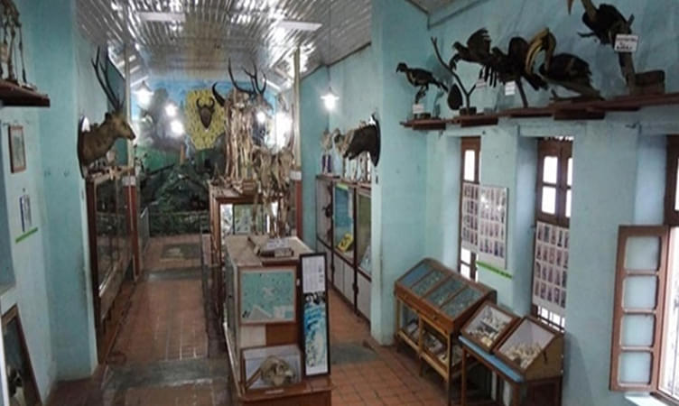 Shembaganur Museum of Natural History