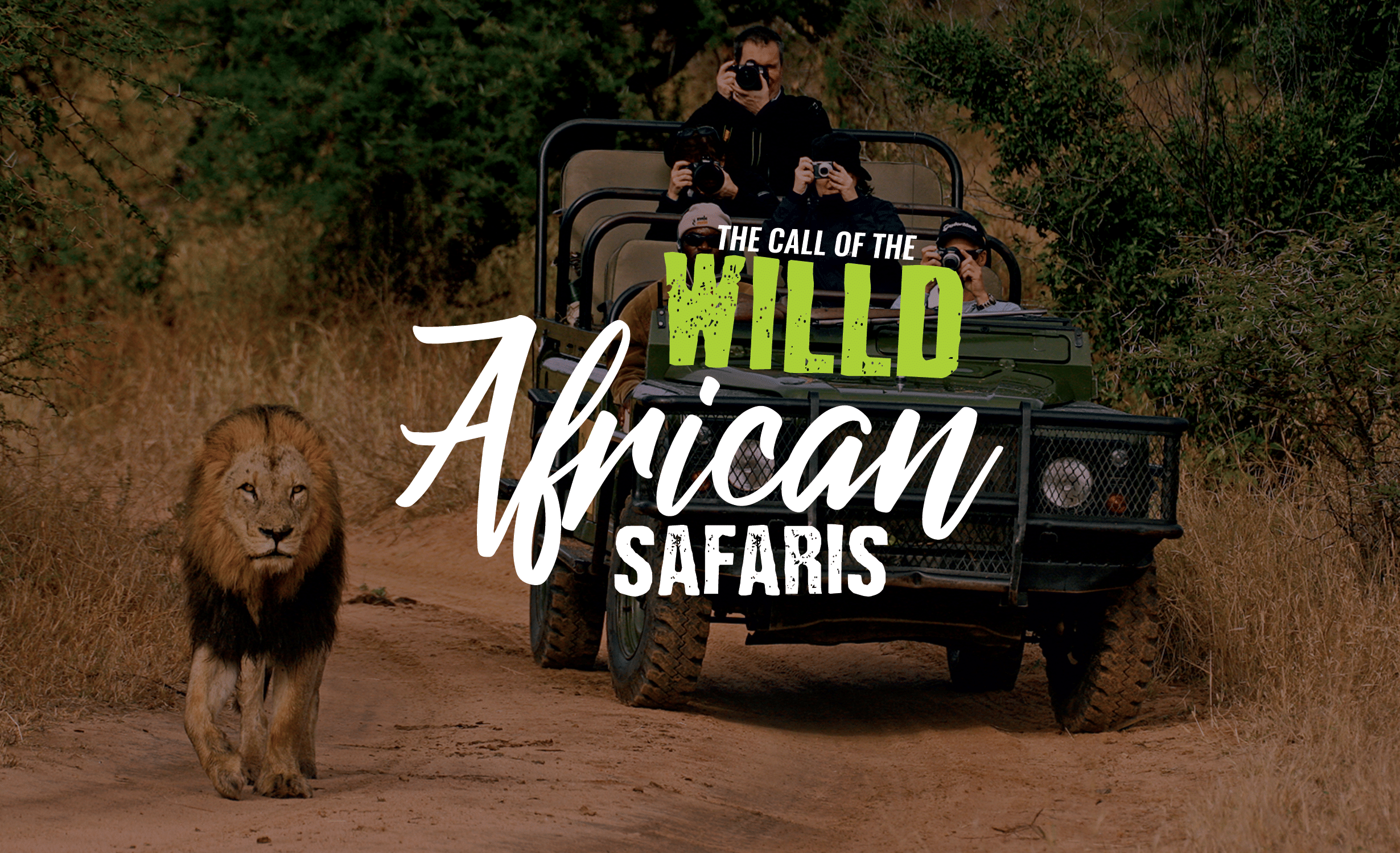 Pure African Safari with Bungee Jumping